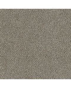 Dreamweaver Trendsetter I Iron Frost Carpet - DW-3640-815