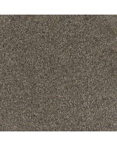 Dreamweaver Trendsetter II Imperial Sable Carpet - DW-3655-134