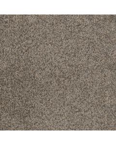 Dreamweaver Trendsetter II Twig Carpet - DW-3655-247
