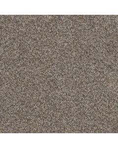 Dreamweaver Trendsetter II Sageview Carpet - DW-3655-327