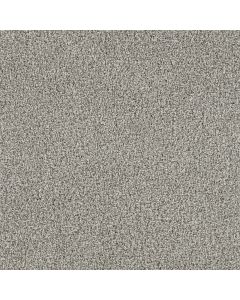 Dreamweaver Trendsetter II Antique Cameo Carpet - DW-3655-386