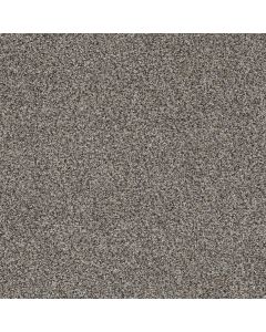Dreamweaver Trendsetter II Luna Pearl Carpet - DW-3655-399