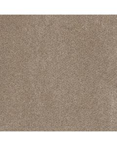 Dreamweaver Trendsetter II Oxford Carpet - DW-3655-720