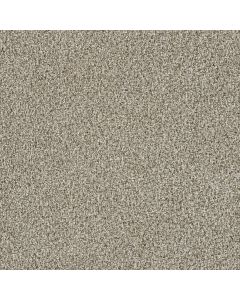 Dreamweaver Trendsetter II Seashells Carpet - DW-3655-758