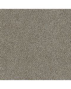 Dreamweaver Trendsetter II Iron Frost Carpet - DW-3655-815