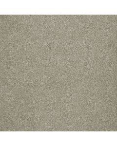 Dreamweaver Malibu I Cottonwood Carpet - DW-3740-169