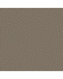 Dreamweaver Malibu II Oyster Shoal Carpet - DW-3750-912