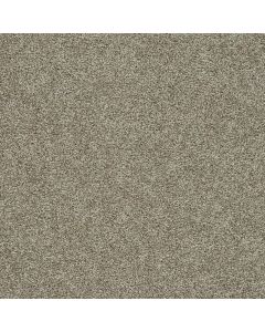 Dreamweaver Morning Glory I Northwood Carpet - DW-3960-2226