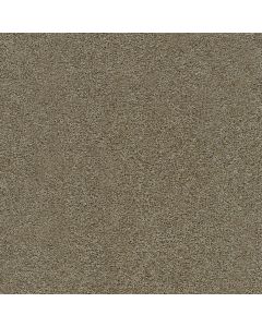 Dreamweaver Morning Glory I Sparrow Carpet - DW-3960-2565