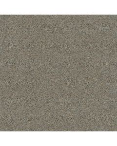 Dreamweaver Morning Glory II Papaya Carpet - DW-3975-2445