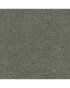 Dreamweaver Morning Glory II Napa Carpet - DW-3975-2470