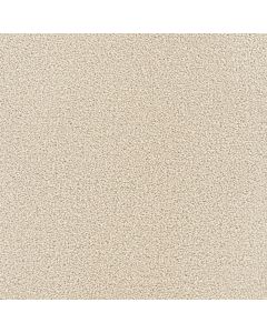 Dreamweaver Star Struck Ivory Carpet - DW-4032-730