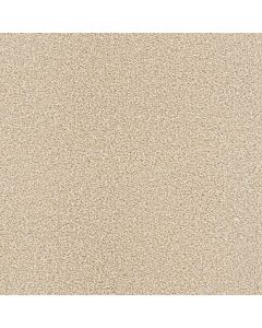 Dreamweaver Star Struck Blush Carpet - DW-4032-735