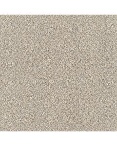 Dreamweaver Star Struck Iron Frost Carpet - DW-4032-815