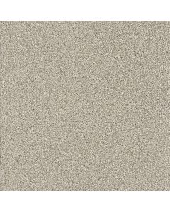 Dreamweaver Star Struck Silver Lining Carpet - DW-4032-830