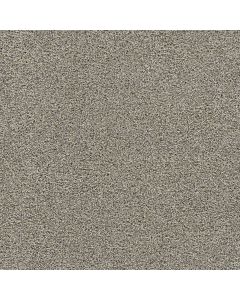 Dreamweaver Gold Standard I Nite Carpet - DW-4046-2057