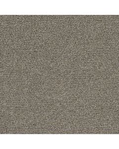 Dreamweaver Gold Standard I Pewter Carpet - DW-4046-2316