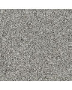 Dreamweaver Gold Standard I Chrome Carpet - DW-4046-2484