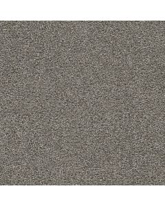 Dreamweaver Gold Standard I Topaz Carpet - DW-4046-2819