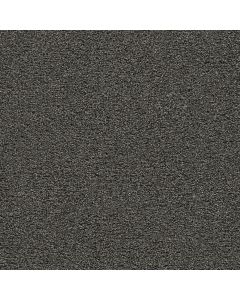 Dreamweaver Gold Standard I Onyx Carpet - DW-4046-2875