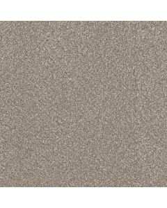 Dreamweaver Lucky Penny I Burnished Carpet - DW-4047-2499