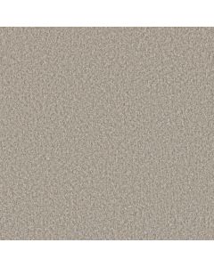 Dreamweaver Lucky Penny I Vera Cruz Carpet - DW-4047-4196