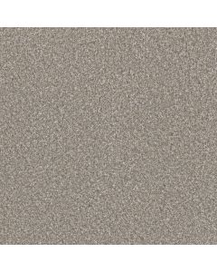 Dreamweaver Lucky Penny I Breakaway Carpet - DW-4047-4315