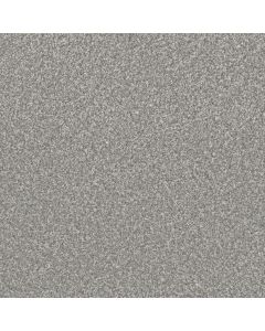 Dreamweaver Lucky Penny I Niagara Carpet - DW-4047-4827