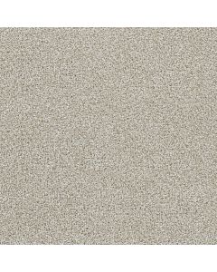 Dreamweaver Lucky Penny I Northlight Carpet - DW-4047-4933