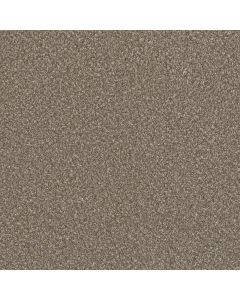 Dreamweaver Lucky Penny II Flaxen Carpet - DW-4055-2391