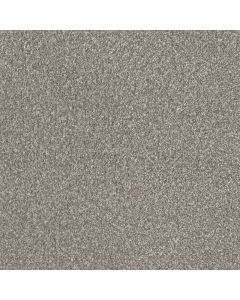 Dreamweaver Lucky Penny II Frost Carpet - DW-4055-2591