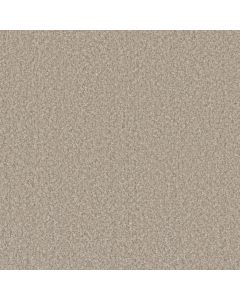 Dreamweaver Lucky Penny II Temple Carpet - DW-4055-4277