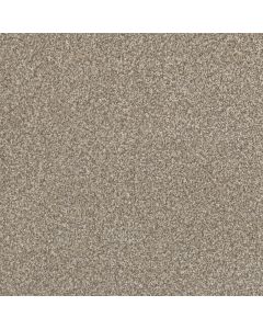 Dreamweaver Lucky Penny II Elite Carpet - DW-4055-4998