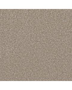 Dreamweaver Lucky Penny II Bliss Carpet - DW-4055-5140