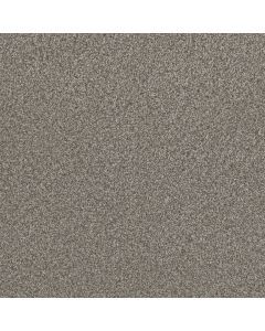 Dreamweaver Lucky Penny II Ventura Carpet - DW-4055-5331