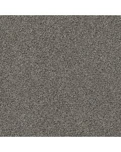 Dreamweaver Gold Standard II Graphite Carpet - DW-4056-2330