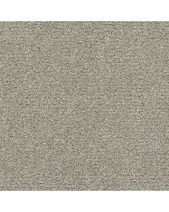 Dreamweaver Gold Standard II Alloy Carpet - DW-4056-2632