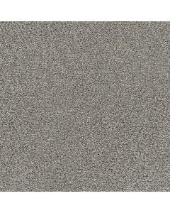Dreamweaver Gold Standard II Metallic Carpet - DW-4056-2648