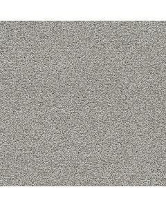 Dreamweaver Gold Standard II Quartz Carpet - DW-4056-2678