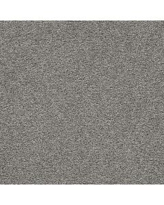 Dreamweaver Gold Standard II Platinum Carpet - DW-4056-2898