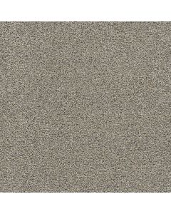 Dreamweaver Gold Standard III Note Carpet - DW-4066-2057
