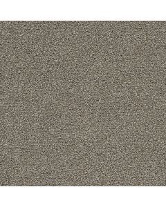 Dreamweaver Gold Standard III Pewter Carpet - DW-4066-2316