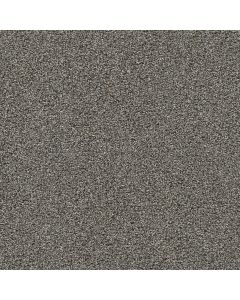 Dreamweaver Gold Standard III Graphite Carpet - DW-4066-2330