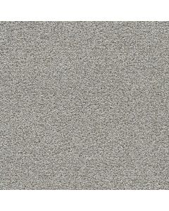 Dreamweaver Gold Standard III Quartz Carpet - DW-4066-2678