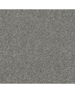 Dreamweaver Gold Standard III Reserve Carpet - DW-4066-2817