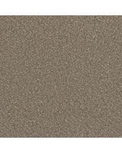 Dreamweaver Lucky Penny III Flaxen Carpet - DW-4067-2391