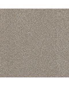 Dreamweaver Lucky Penny III Burnished Carpet - DW-4067-2499