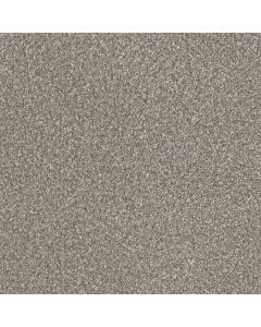 Dreamweaver Lucky Penny III Frost Carpet - DW-4067-2591