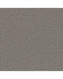 Dreamweaver Lucky Penny III Marcella Carpet - DW-4067-4025