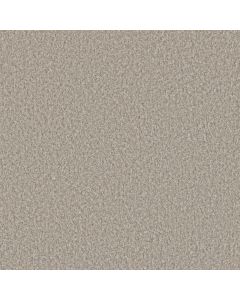 Dreamweaver Lucky Penny III Vera Cruz Carpet - DW-4067-4196